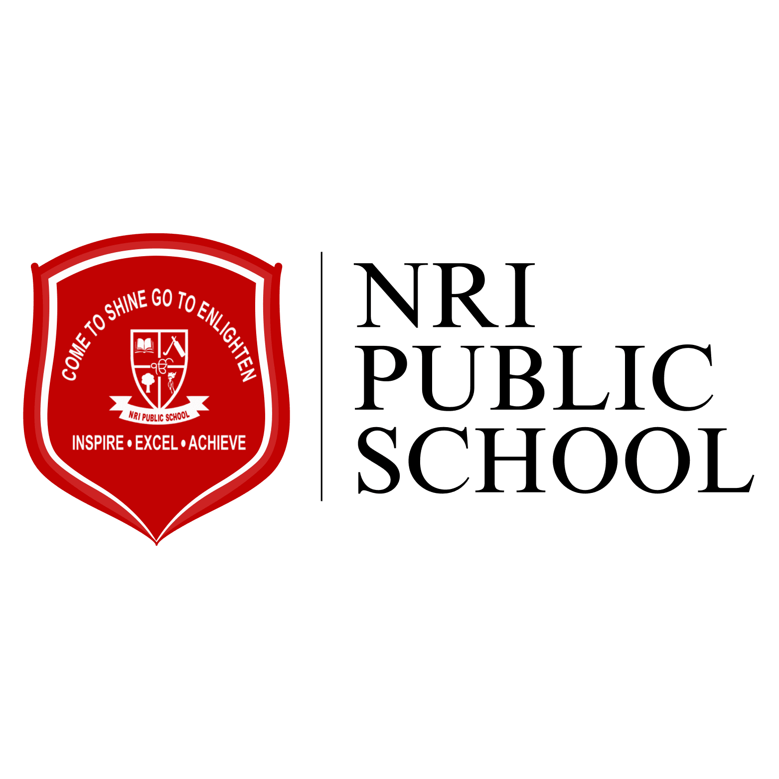 NRI Public School